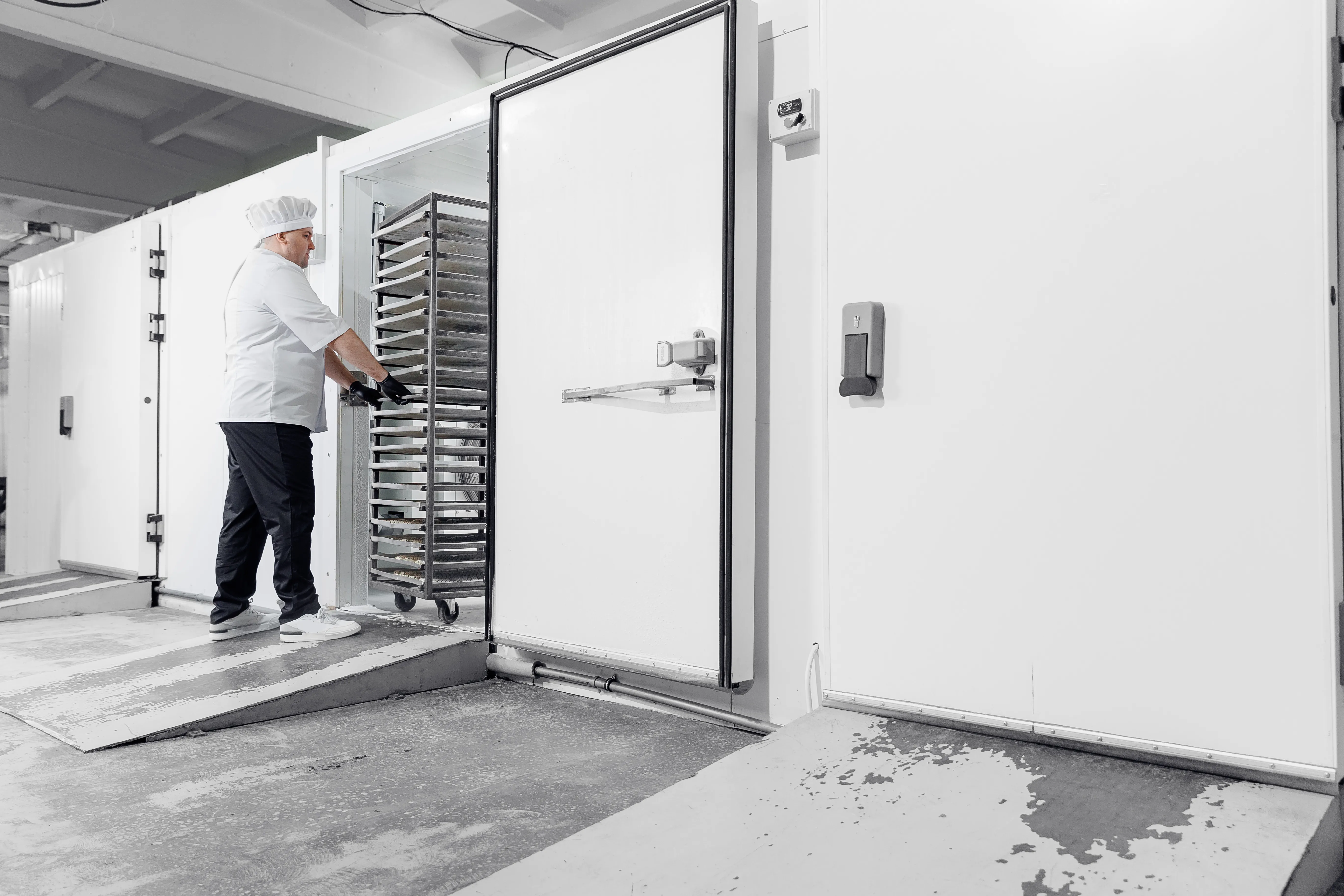 Cold-storage facility door